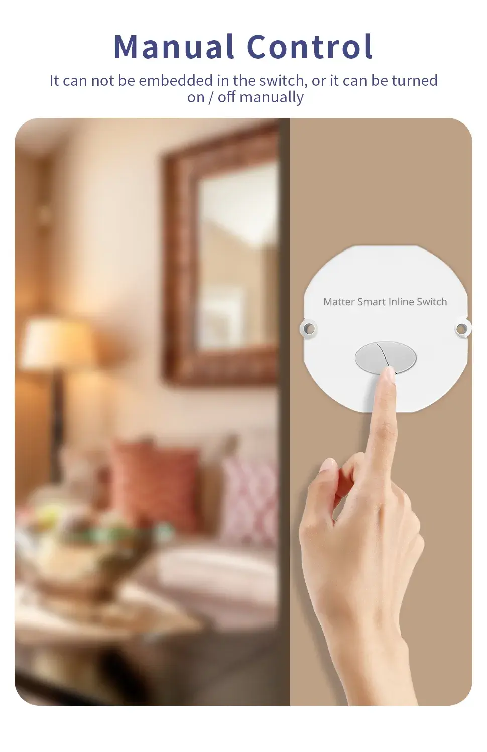Zemismart Matter over WiFi Smart