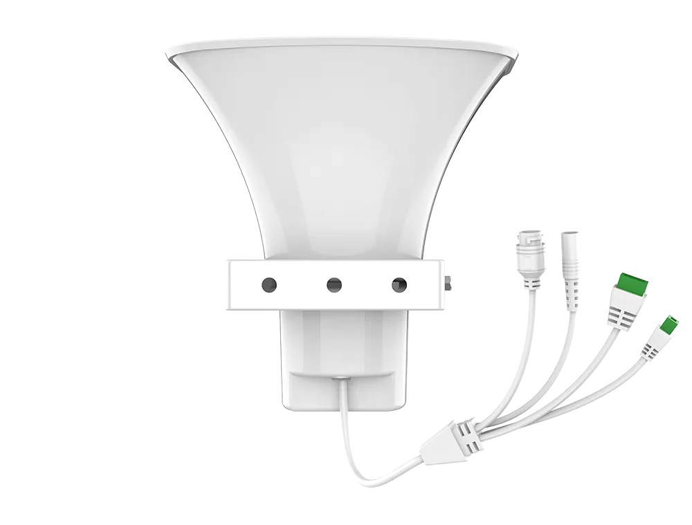 A233-electron-04.webp