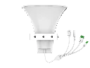 A233-electron-04.webp